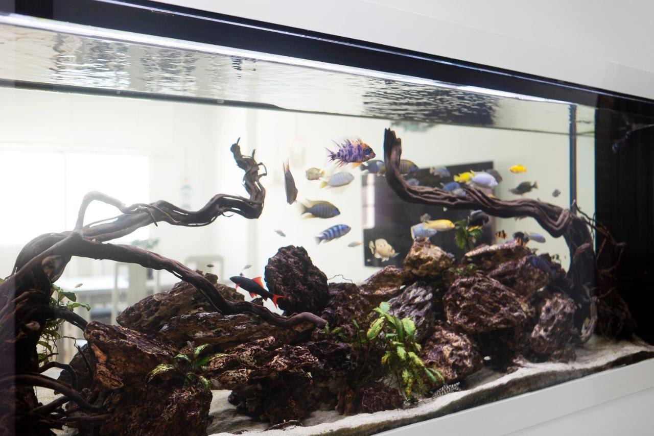 Acuario - Especial Familias Apartment